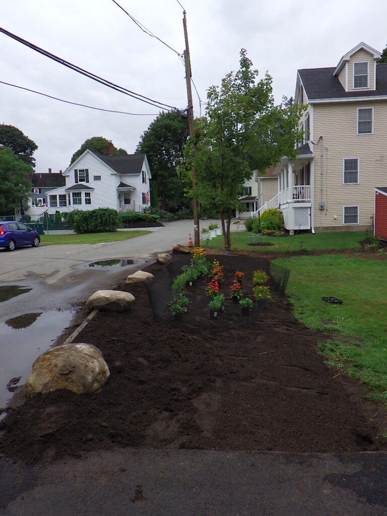 Revival Garden Transformation in Andover, MA