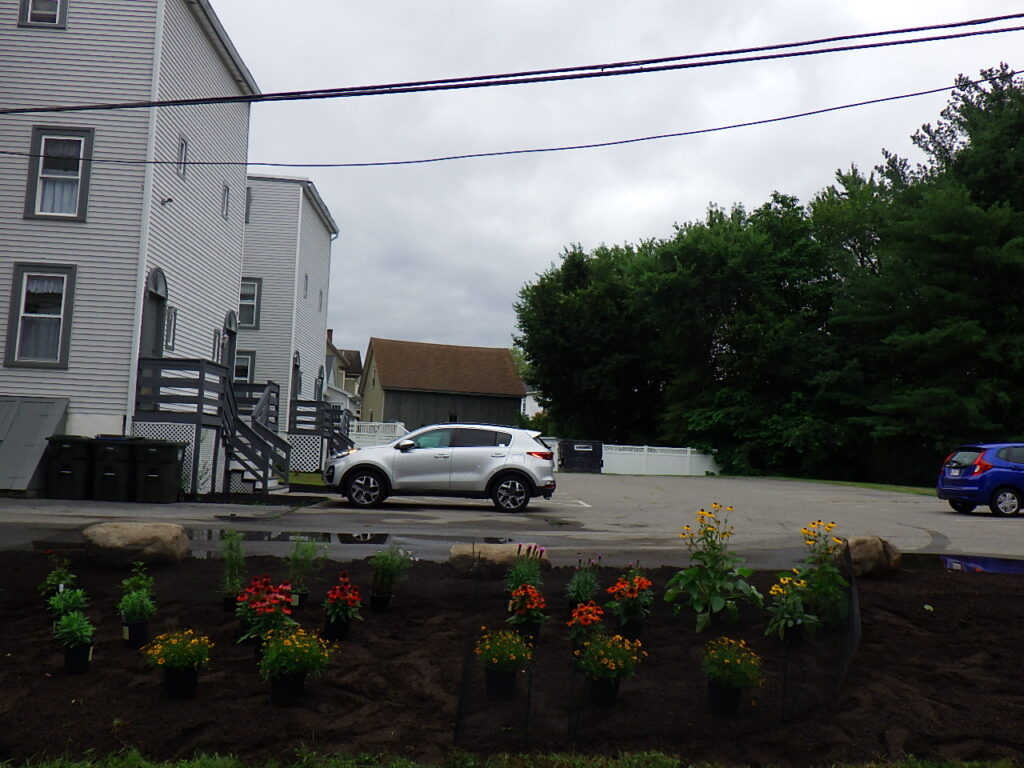 Revival Garden Transformation in Andover, MA
