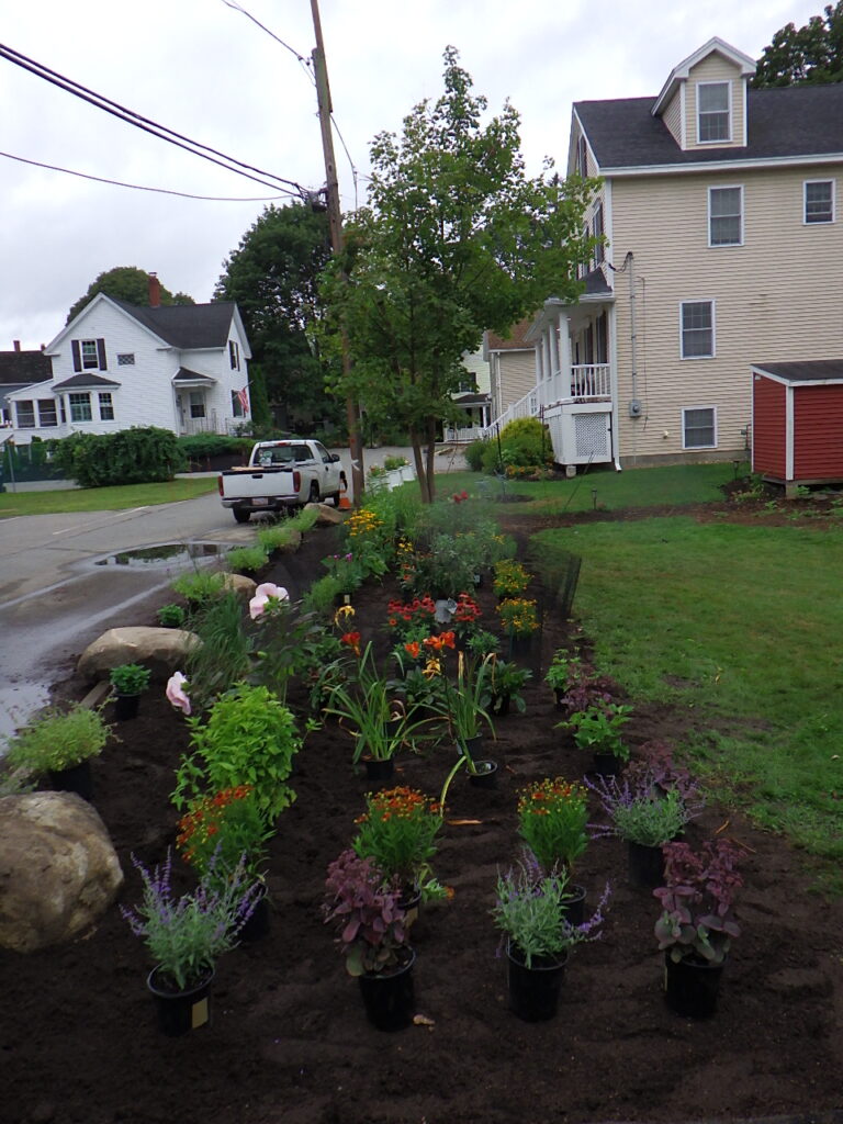 Revival Garden Transformation in Andover, MA