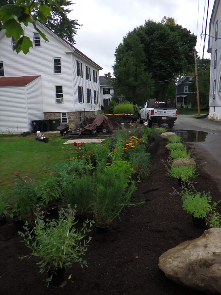 Revival Garden Transformation in Andover, MA