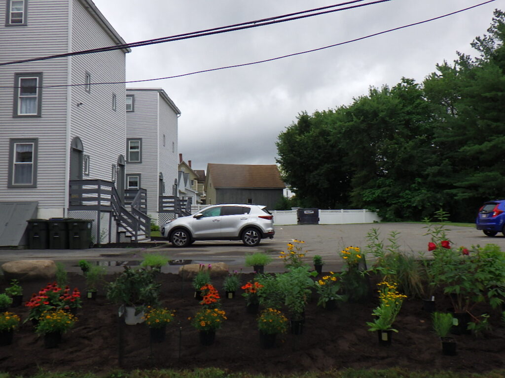 Revival Garden Transformation in Andover, MA