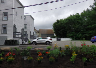 Revival Garden Transformation in Andover, MA
