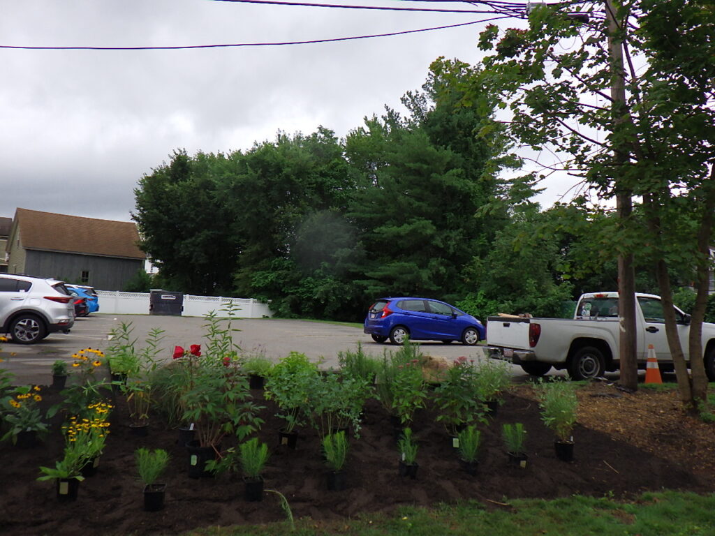Revival Garden Transformation in Andover, MA