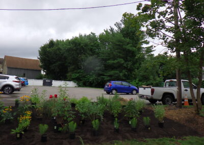Revival Garden Transformation in Andover, MA