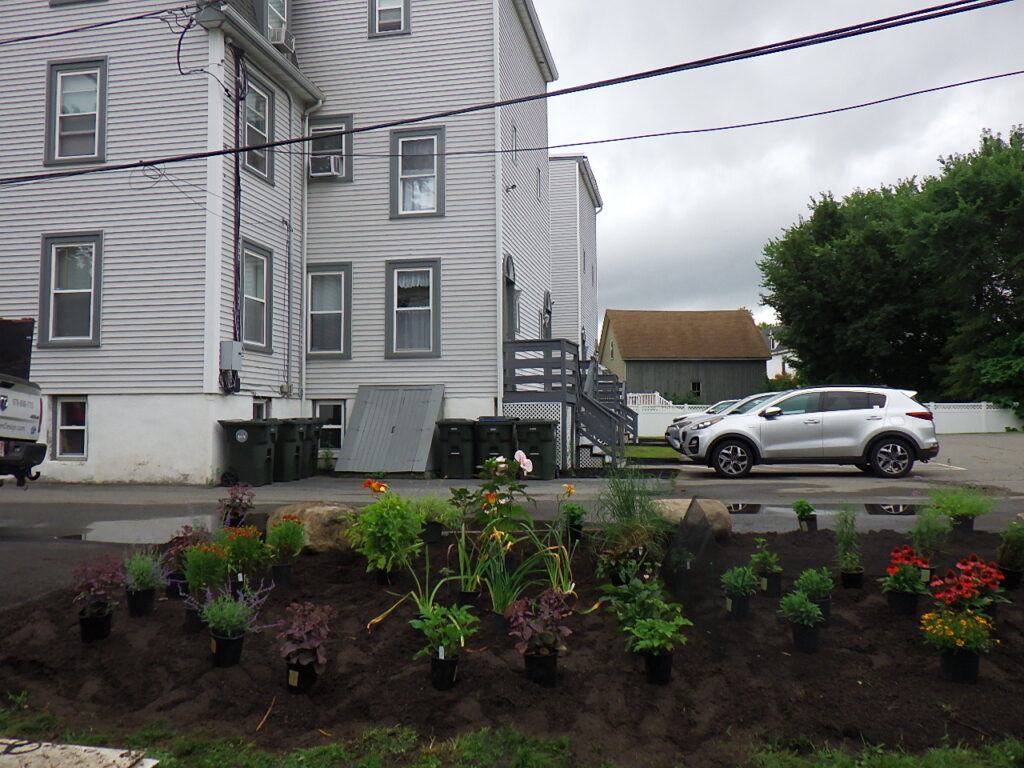 Revival Garden Transformation in Andover, MA