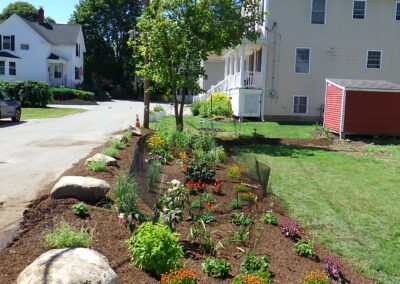 Revival Garden Transformation in Andover, MA