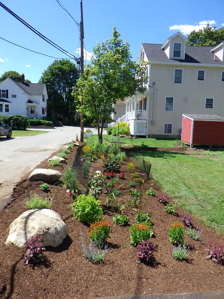 Revival Garden Transformation in Andover, MA