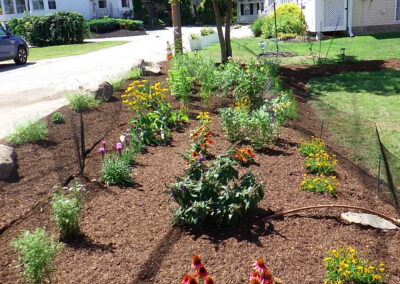 Revival Garden Transformation in Andover, MA