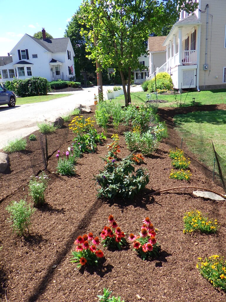 Revival Garden Transformation in Andover, MA