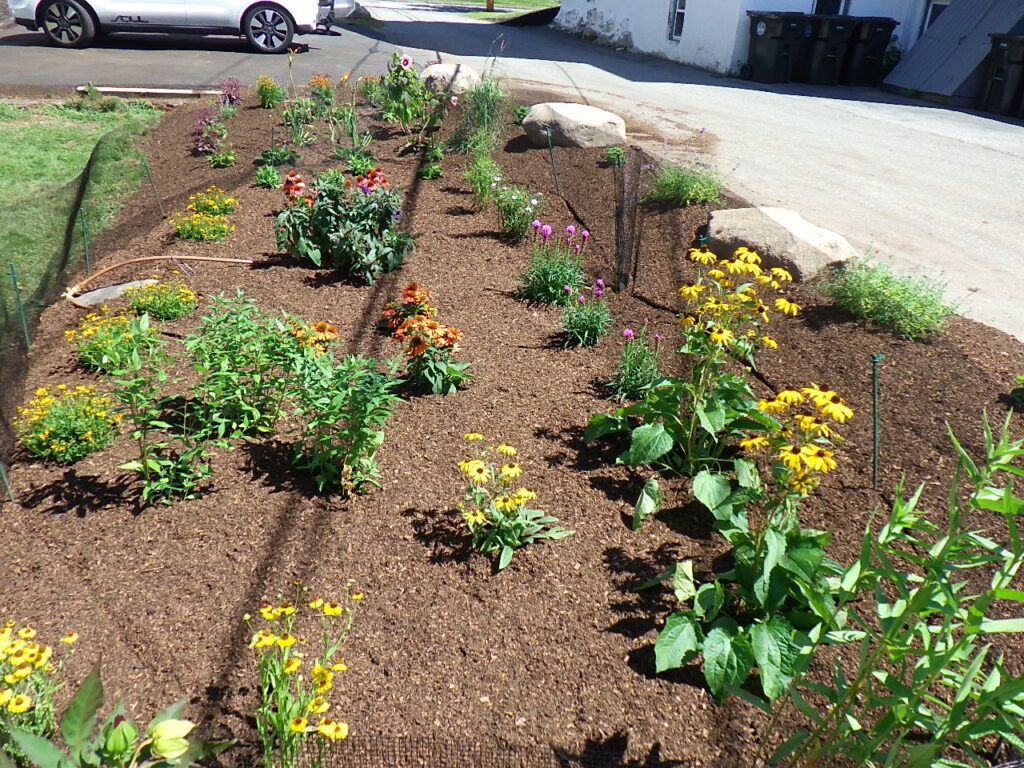 Revival Garden Transformation in Andover, MA