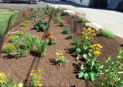 Revival Garden Transformation in Andover, MA