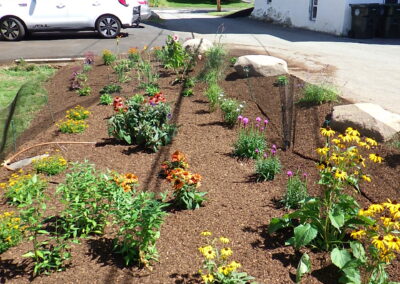 Revival Garden Transformation in Andover, MA