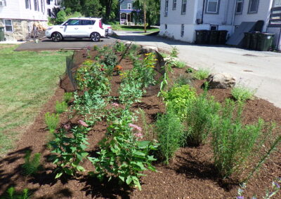 Revival Garden Transformation in Andover, MA