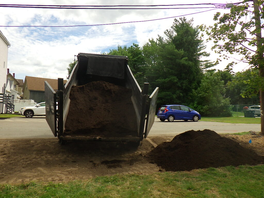 Revival Garden Transformation in Andover, MA