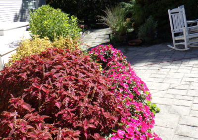 Greenleaf's Garden Design, Annuals, Nashua, NH (2)