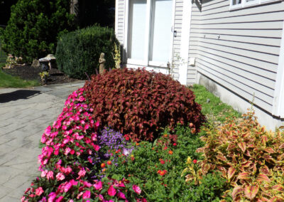 Greenleaf's Garden Design, Annuals, Nashua, NH (3)