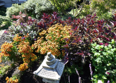 Greenleaf's Garden Design, Annuals, Nashua, NH (6)