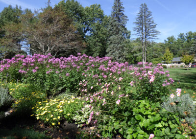 Greenleaf's Garden Design, Annuals, Nashua, NH (7)
