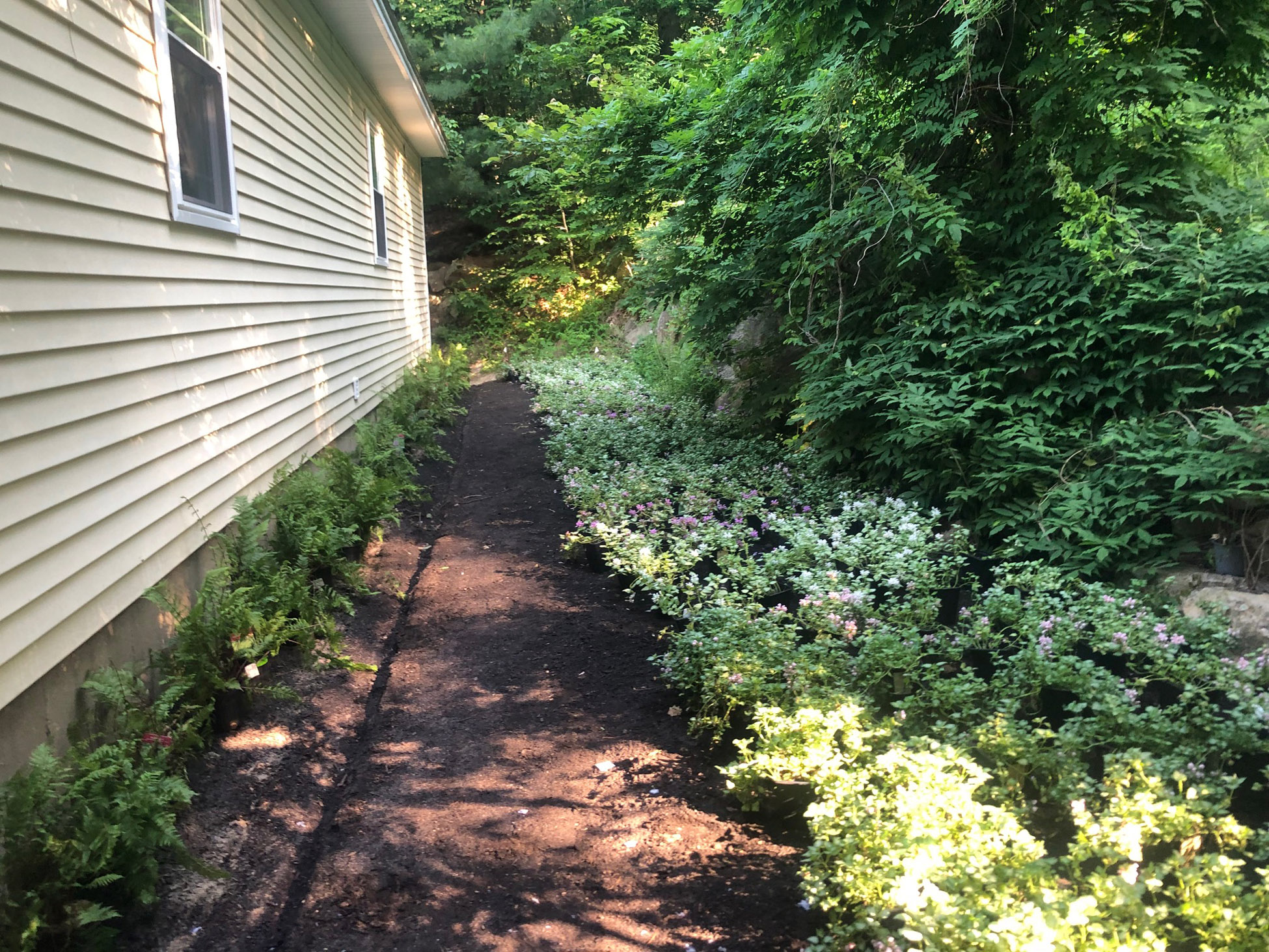 Diner Gardens Renewal in Tyngsboro, MA