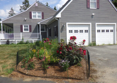 Bunny Free Garden in Billerica, MA