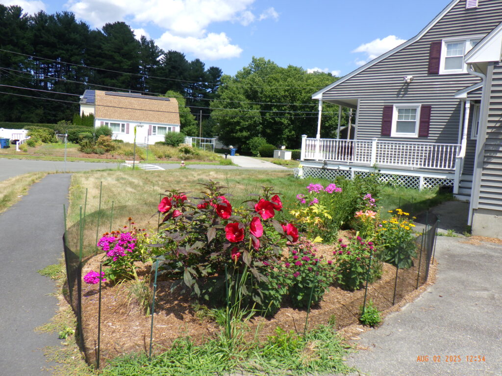 Vibrant Micro Garden Installation in Chelmsford MA