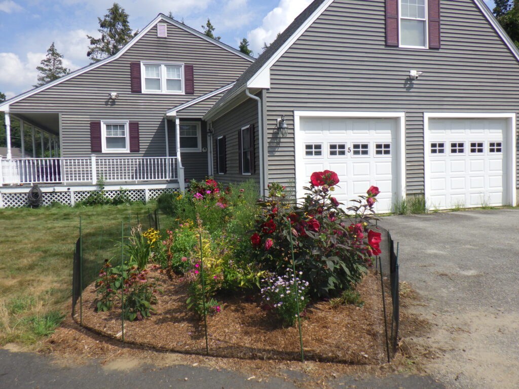 Bunny-Free Zone Transformation in Billerica, MA Progress Report