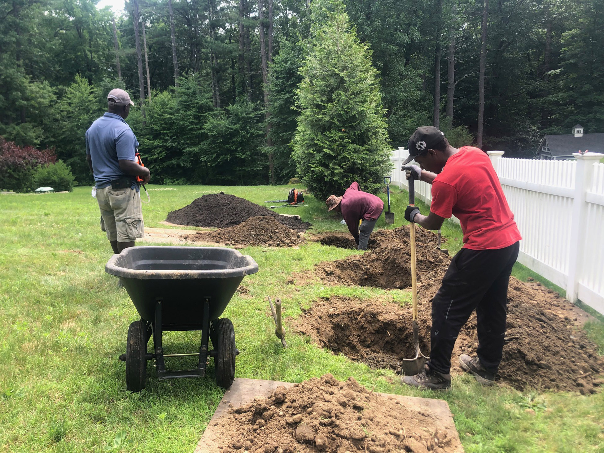 Tree Planting with Greenleaf's Garden Design