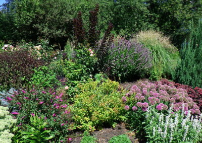 Garden Makeover in Chelmsford, MA