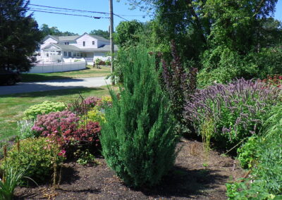 Garden Makeover in Chelmsford, MA