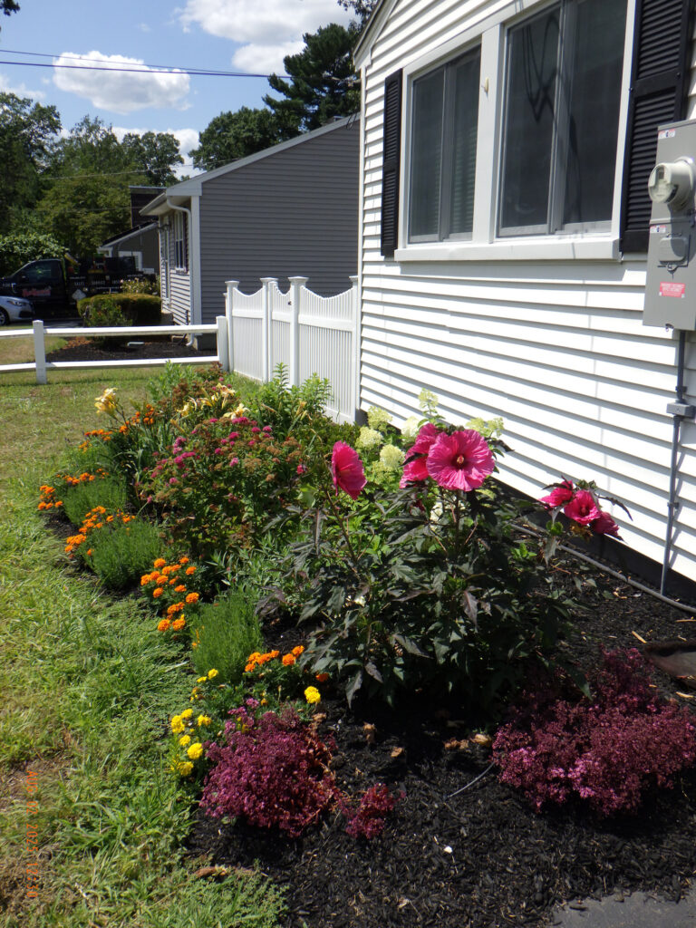 Vibrant Micro Garden Installation in Chelmsford MA