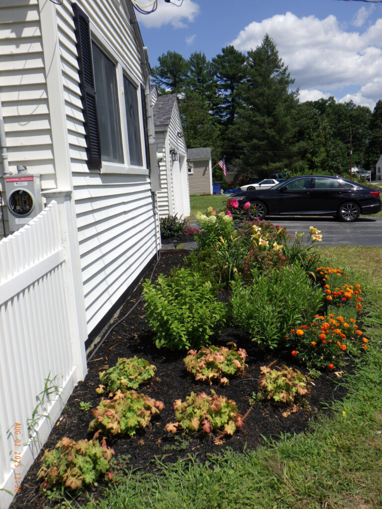 Vibrant Micro Garden Installation in Chelmsford MA