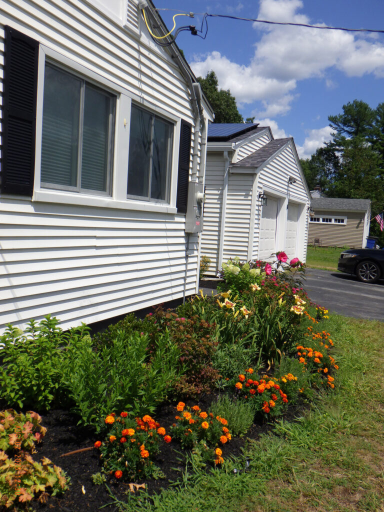 Vibrant Micro Garden Installation in Chelmsford MA