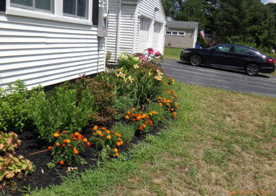 Vibrant Micro Garden Installation in Chelmsford MA