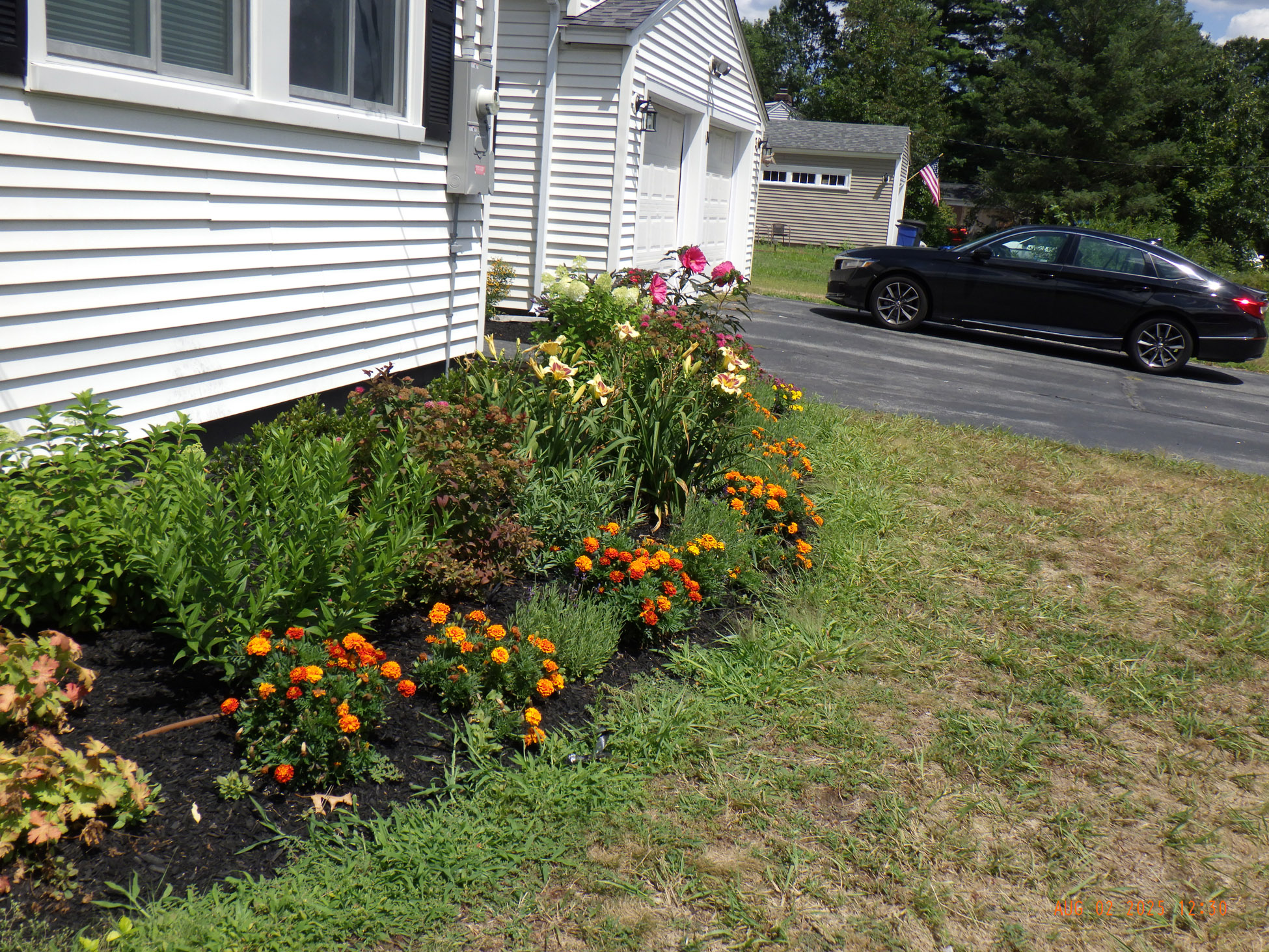 Greenleaf's Garden Design Chelmsford, MA (6) Vibrant Micro Garden Installation in Chelmsford MA
