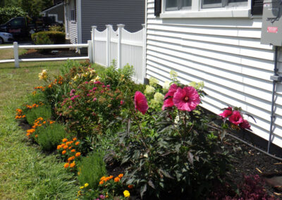 VIBRANT MICRO GARDEN INSTALLATION IN CHELMSFORD MA