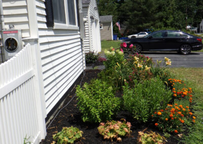 VIBRANT MICRO GARDEN INSTALLATION IN CHELMSFORD MA