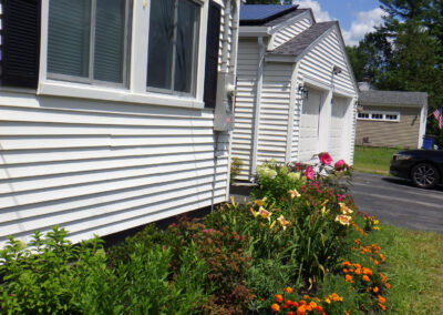 VIBRANT MICRO GARDEN INSTALLATION IN CHELMSFORD MA