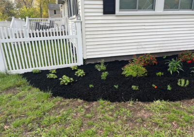 VIBRANT MICRO GARDEN INSTALLATION IN CHELMSFORD MA