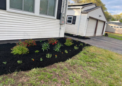 VIBRANT MICRO GARDEN INSTALLATION IN CHELMSFORD MA
