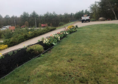 Spring Color Garden in Conway