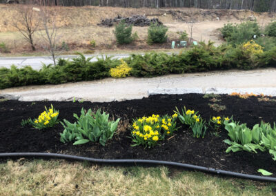 Spring Color Garden in Conway