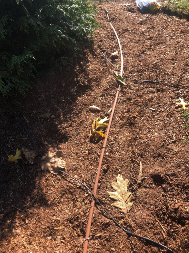 Greenleaf's Garden Design, Drip Irrigation (1)