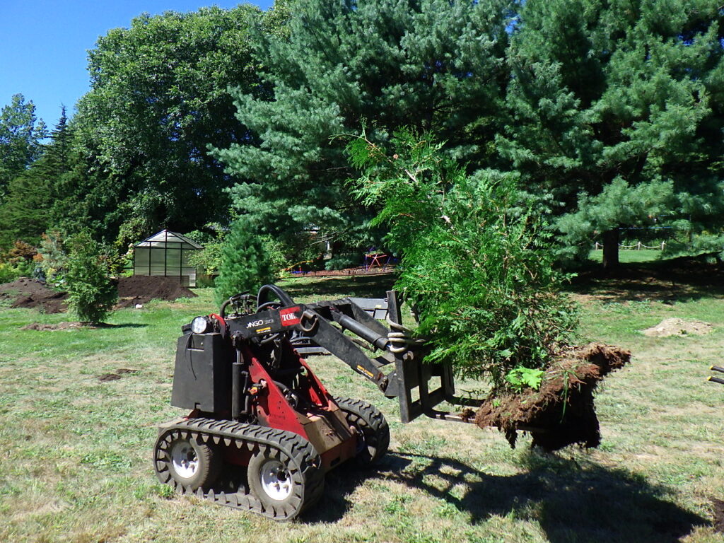 Garden design in Groton, MA. Planting 100 ornamental and evergreen trees.