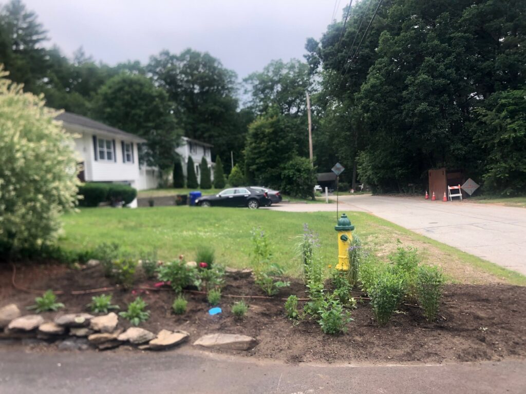 This fun project in Hudson, NH had the crew revisiting and revamping one of our existing gardens! The Excavator dug out 10 yards of poor soil and replaced it with 10 yards of good soil. Last year , in early July, we planted 100 perennials of which half were shade and the others sun loving. These new 80 perennials really made the front side and back yard pond garden quite lovely.
