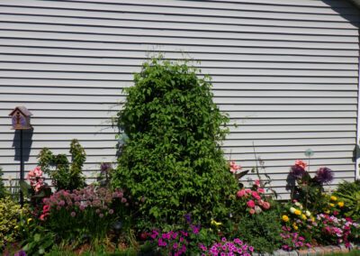 Garden Design and Garden Maintenance in Hudson, NH