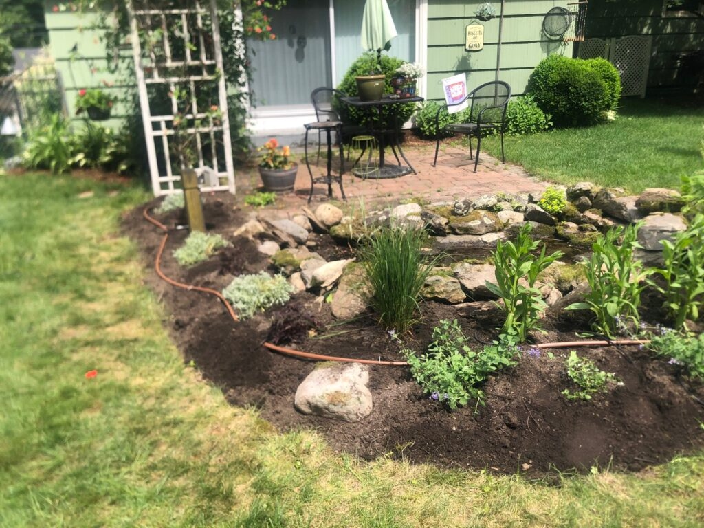 This fun project in Hudson, NH had the crew revisiting and revamping one of our existing gardens! The Excavator dug out 10 yards of poor soil and replaced it with 10 yards of good soil. Last year , in early July, we planted 100 perennials of which half were shade and the others sun loving. These new 80 perennials really made the front side and back yard pond garden quite lovely.