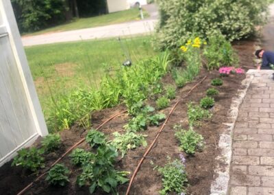This fun project in Hudson, NH had the crew revisiting and revamping one of our existing gardens! The Excavator dug out 10 yards of poor soil and replaced it with 10 yards of good soil. Last year , in early July, we planted 100 perennials of which half were shade and the others sun loving. These new 80 perennials really made the front side and back yard pond garden quite lovely.