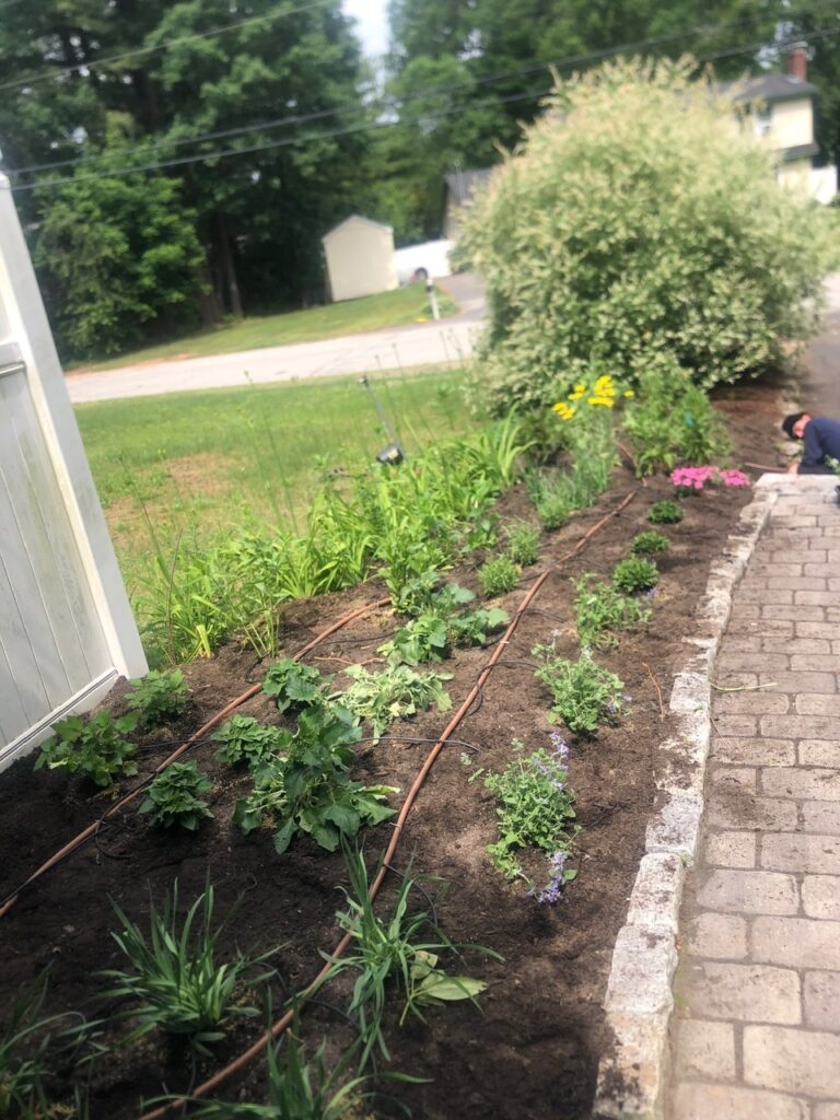 This fun project in Hudson, NH had the crew revisiting and revamping one of our existing gardens! The Excavator dug out 10 yards of poor soil and replaced it with 10 yards of good soil. Last year , in early July, we planted 100 perennials of which half were shade and the others sun loving. These new 80 perennials really made the front side and back yard pond garden quite lovely.