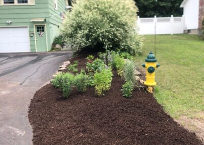 This fun project in Hudson, NH had the crew revisiting and revamping one of our existing gardens! The Excavator dug out 10 yards of poor soil and replaced it with 10 yards of good soil. Last year , in early July, we planted 100 perennials of which half were shade and the others sun loving. These new 80 perennials really made the front side and back yard pond garden quite lovely.