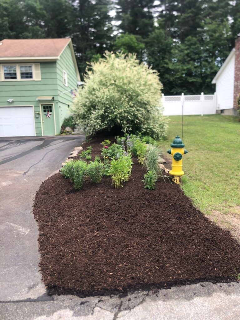 This fun project in Hudson, NH had the crew revisiting and revamping one of our existing gardens! The Excavator dug out 10 yards of poor soil and replaced it with 10 yards of good soil. Last year , in early July, we planted 100 perennials of which half were shade and the others sun loving. These new 80 perennials really made the front side and back yard pond garden quite lovely.